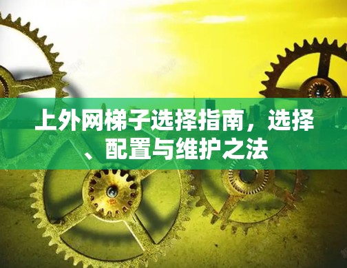 上外网梯子选择指南，选择、配置与维护之法