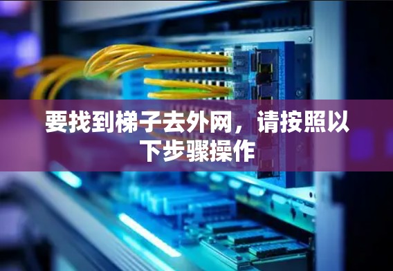 要找到梯子去外网，请按照以下步骤操作