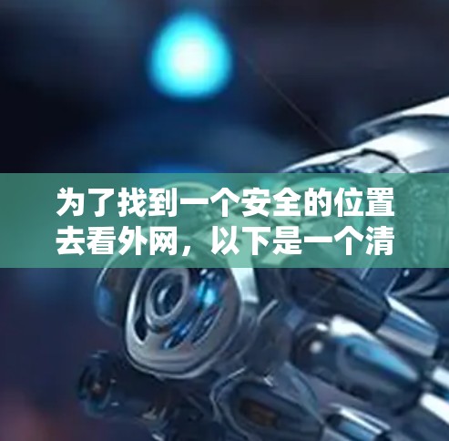 为了找到一个安全的位置去看外网，以下是一个清晰的步骤指南