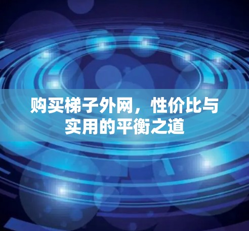 购买梯子外网，性价比与实用的平衡之道