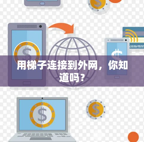 用梯子连接到外网，你知道吗？
