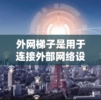 外网梯子是用于连接外部网络设备到互联网的工具，通常用于办公场所。以下是对外网梯子的使用规范的详细总结