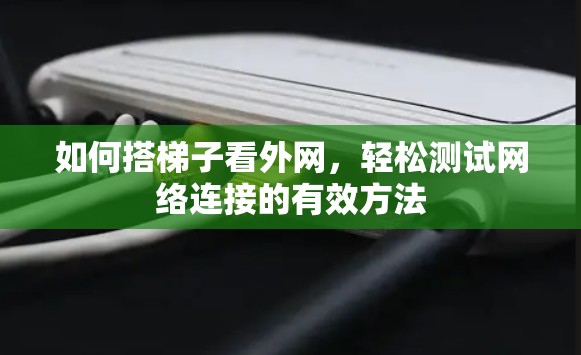 如何搭梯子看外网，轻松测试网络连接的有效方法