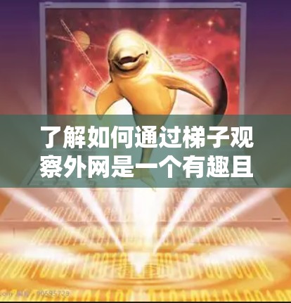 了解如何通过梯子观察外网是一个有趣且实用的项目，以下是分步指南