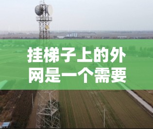 挂梯子上的外网是一个需要仔细考虑的问题，以下是一步步的指导