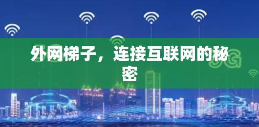 外网梯子，连接互联网的秘密