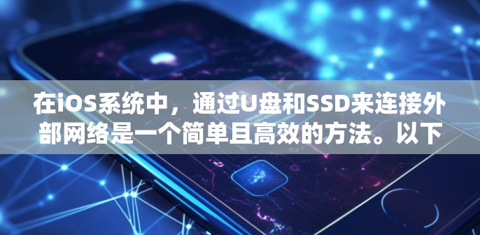 在iOS系统中，通过U盘和SSD来连接外部网络是一个简单且高效的方法。以下是具体步骤和工具建议