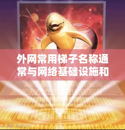 外网常用梯子名称通常与网络基础设施和配置相关，以下是外网常用梯子名称的汇总