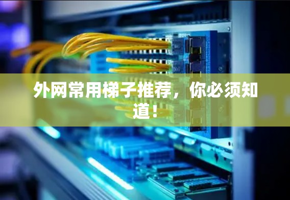 外网常用梯子推荐，你必须知道！