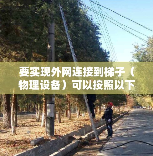要实现外网连接到梯子（物理设备）可以按照以下步骤操作