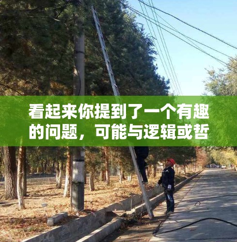 看起来你提到了一个有趣的问题，可能与逻辑或哲学有关。以下是一些可能的解释和答案