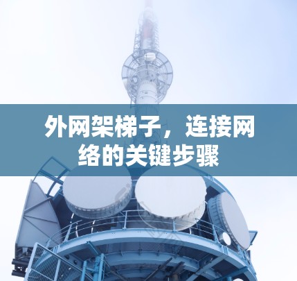 外网架梯子,连接网络的关键步骤 外网架梯子,连接网络的关键步骤