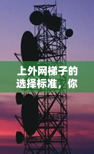 上外网梯子的选择标准，你确定了吗？