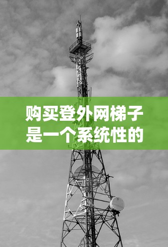 购买登外网梯子是一个系统性的过程，需要综合考虑多个因素。以下是一个分步骤的解决方案