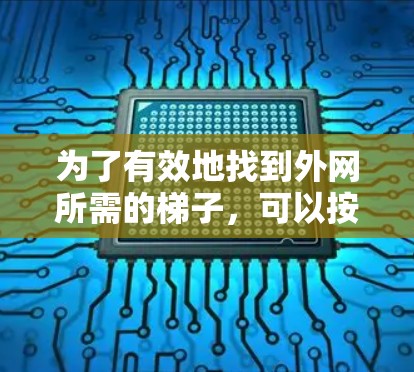 为了有效地找到外网所需的梯子，可以按照以下步骤进行