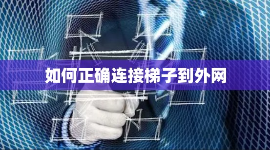 如何正确连接梯子到外网