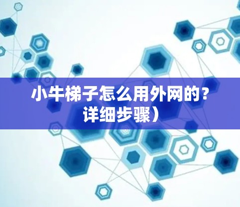 小牛梯子怎么用外网的？详细步骤）