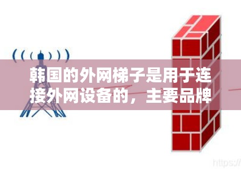 韩国的外网梯子是用于连接外网设备的，主要品牌包括LG和Sealevel。以下是详细的列表和信息