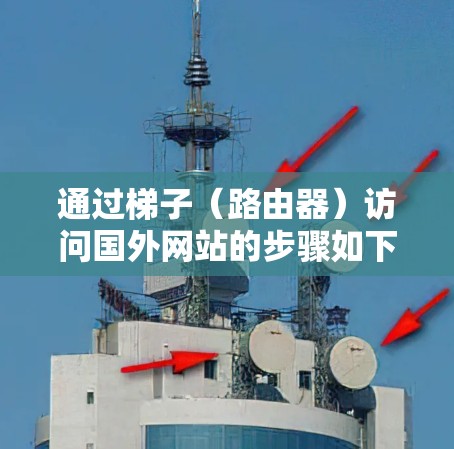 通过梯子（路由器）访问国外网站的步骤如下