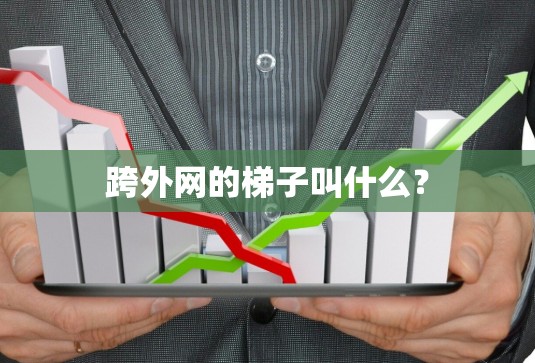 跨外网的梯子叫什么？