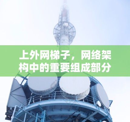 上外网梯子，网络架构中的重要组成部分