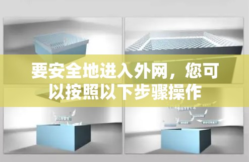 要安全地进入外网，您可以按照以下步骤操作