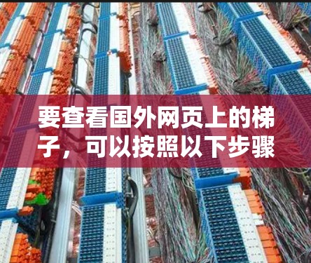 要查看国外网页上的梯子，可以按照以下步骤进行