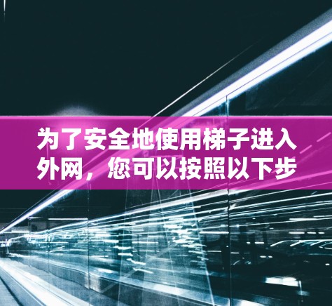 为了安全地使用梯子进入外网，您可以按照以下步骤操作