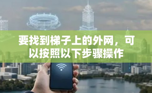 要找到梯子上的外网，可以按照以下步骤操作