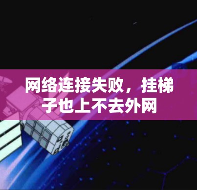网络连接失败，挂梯子也上不去外网