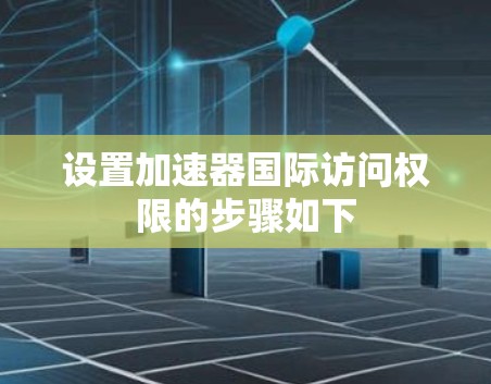 设置加速器国际访问权限的步骤如下