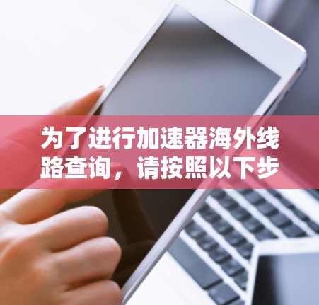 为了进行加速器海外线路查询，请按照以下步骤操作