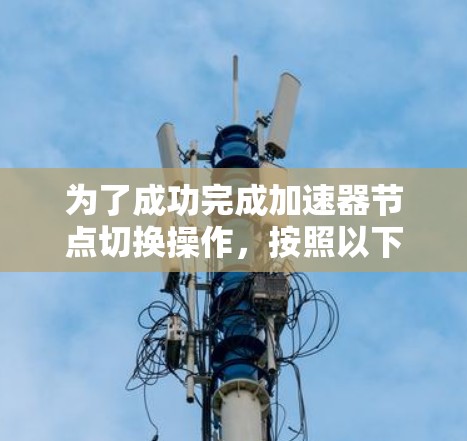 为了成功完成加速器节点切换操作，按照以下步骤操作