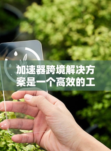 加速器跨境解决方案是一个高效的工具，帮助用户在不同国家或地区的设备之间快速传输数据。以下是对该解决方案的逐步总结和分析