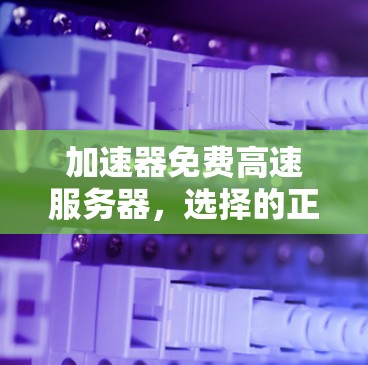 加速器免费高速服务器，选择的正确解决方案