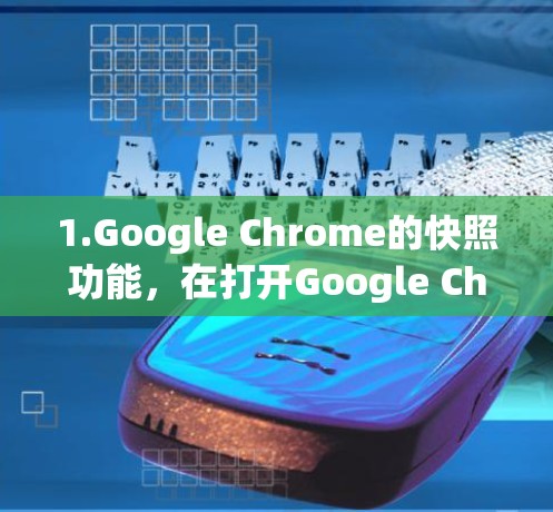 1.Google Chrome的快照功能，在打开Google Chrome后，点击右上角的快照（F12）然后选择快速加载（F9）或快速加载URL（F6）这样可以快速加载网页，节省时间