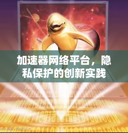 加速器网络平台，隐私保护的创新实践