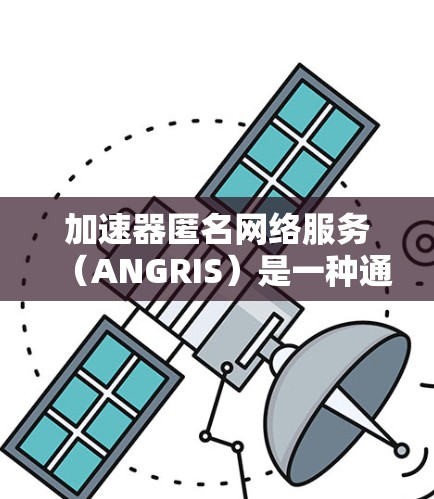 加速器匿名网络服务（ANGRIS）是一种通过加速网络流量来提升连接速度和性能的工具，广泛应用于企业网络优化和个人用户。以下是对ANGRIS的详细总结