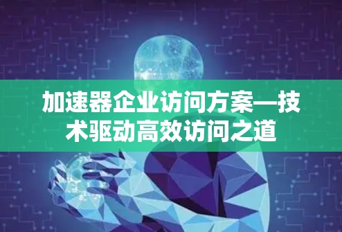 加速器企业访问方案—技术驱动高效访问之道