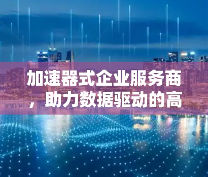 加速器式企业服务商，助力数据驱动的高效管理