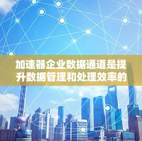 加速器企业数据通道是提升数据管理和处理效率的关键技术，涉及数据传输、存储、处理和安全等多个方面。以下是对该领域的详细介绍和总结