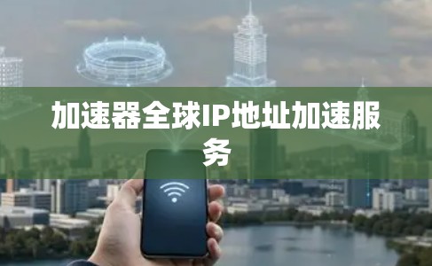 加速器全球IP地址加速服务