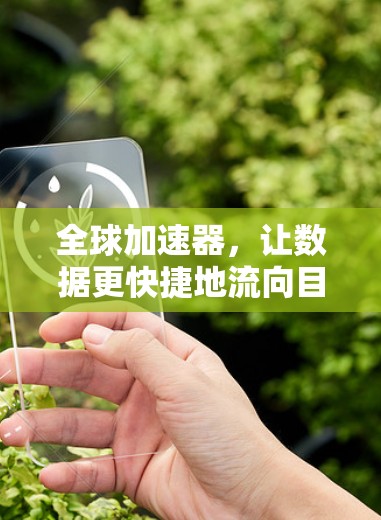 全球加速器，让数据更快捷地流向目标