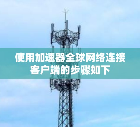 使用加速器全球网络连接客户端的步骤如下