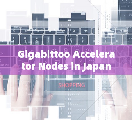 Gigabittoo Accelerator Nodes in Japan