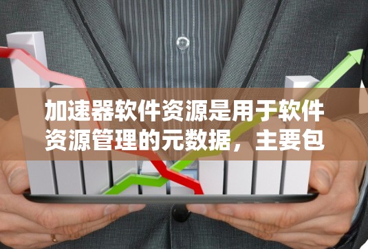 加速器软件资源是用于软件资源管理的元数据，主要包括资源位置、状态、类型、展开方式、描述等。以下是系统学习的总结