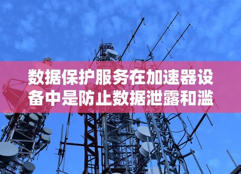 数据保护服务在加速器设备中是防止数据泄露和滥用的重要措施。以下是对数据保护服务的详细总结