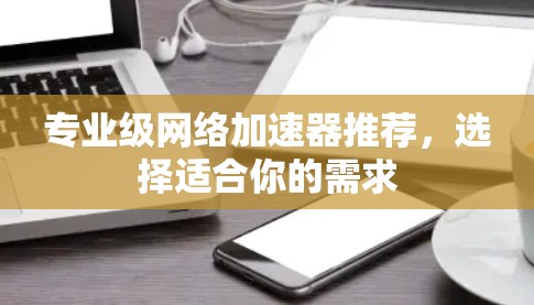 专业级网络加速器推荐，选择适合你的需求