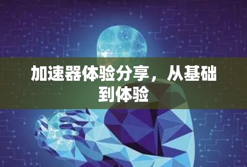 加速器体验分享，从基础到体验