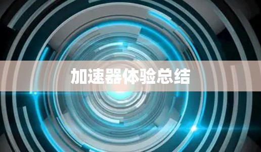 加速器体验总结